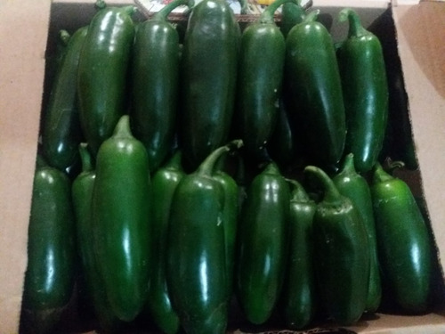 Pimenta Jalapeño In Natura 5 Kg - Verdes - Safra 2017