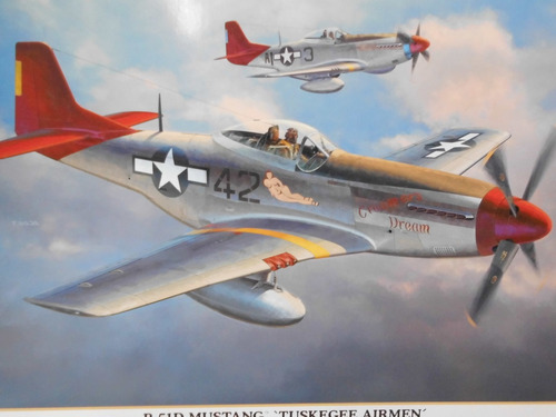 Mustang P-51d  Tuskegee Airmen  1/32 Hasegawa