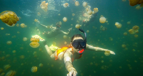 Bastão Gopro Hero Extensível 3 Way Dobrável Boia Traseira
