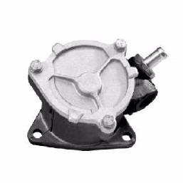 Depresor (bomba Vacio) Para Fiat Palio - Motor 1.9 2.4