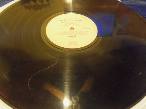 Los Hits De Adamo En Castellano Vinilo Impecable (Usado)