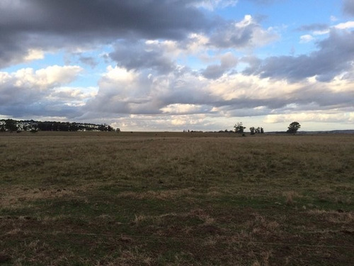 Campo De 92 Há En Rocha A 6 Km De La Ciudad De Rocha