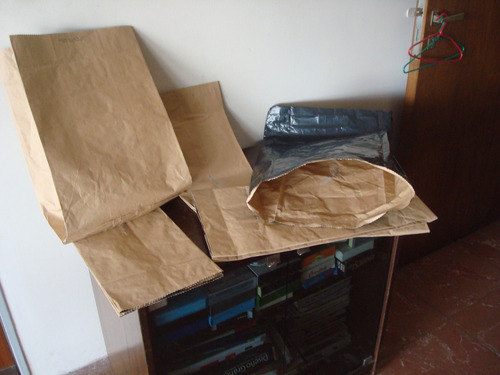 Bolsas De Papel Duro Forradas Por 10 Unidades