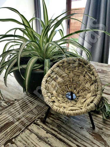Imagen 2 de 2 de Silla Decorativa Acapulco Mini Palma
