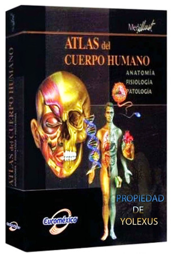 Libro Medicina Atlas Del Cuerpo Humano Similar Netter-origin