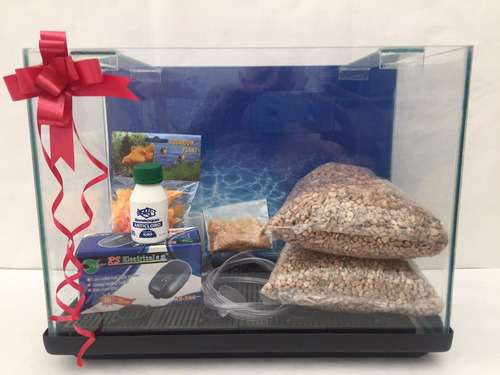 Kit Pecera Completa-40x30x20-base De Regalo! !