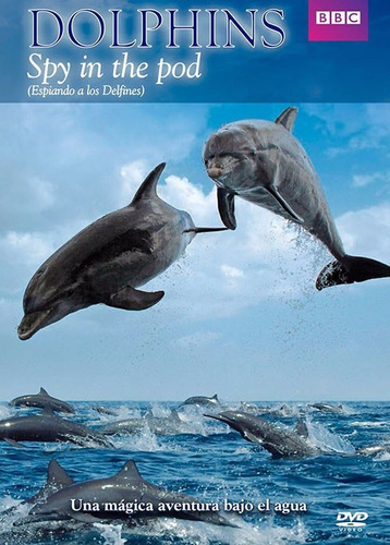 Espiando A Los Delfines Documental Bbc Pelicula Dvd