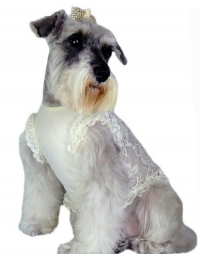 Roupa Vestido Para Cães E Gtaos - Vestido Lacy