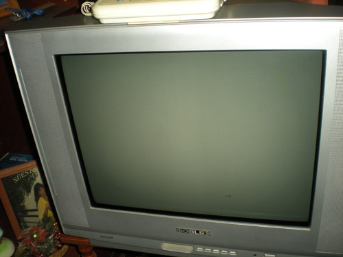 Tv Color 24 Noblex -impecable