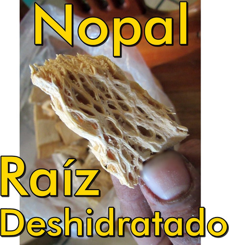 Raiz De Nopal Deshidratado 1 Kilo Seco