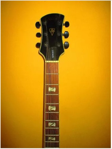 Guitarra Electrica Marca Canvas Modelo Csad Importado