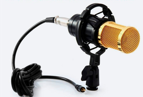 Microfono Bm800 Condensador Profesional Con Envio Gratis