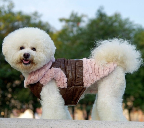 Chaqueta Para Perrita / Gato /mascota /palo De Rosa