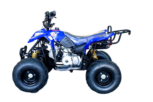 Quadriciclo À Gasolina Infantil 110cc Barzi Motors Moskiti