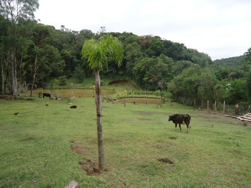 Imagem 10 de 15 de Sitio No Bairro Vargem Do Salto | 47733 - 47733