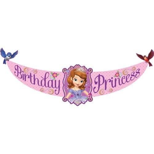 Disney Junior Sofia La Primera Fiesta De La Princesa Ban X12
