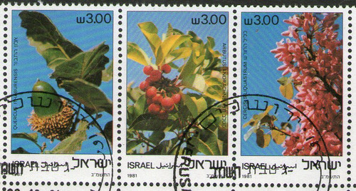 Israel Serie X 3 Sellos Usados Se-tenant Flores Año 1981