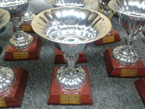Copas Trofeos Premios