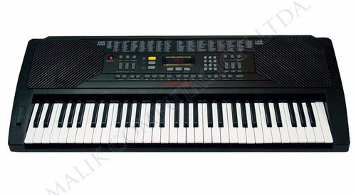 Teclado Bontempi 61 Teclas Estandard Piano Con Grabacion