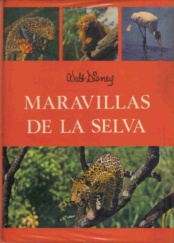 Maravillas De La Selva - Disney - Sherman - Gaisa