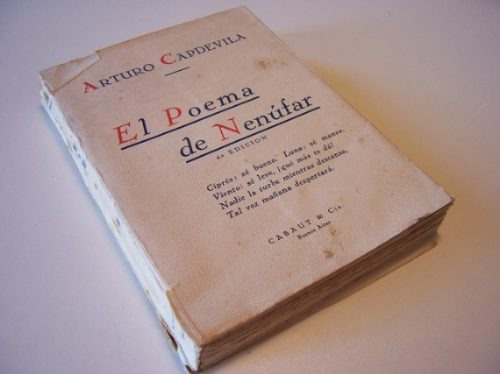 El Poema De Nenúfar Arturo Capdevila Relato Amor Vacaciones