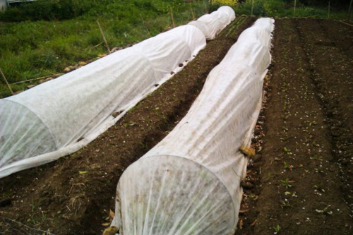 10 M Tela De Crecimiento Manta Termica Proteccion Cultivos