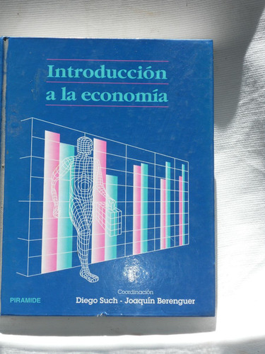 Imagen 1 de 1 de Introduccion A La Economia Such Berenguer Piramide 1994