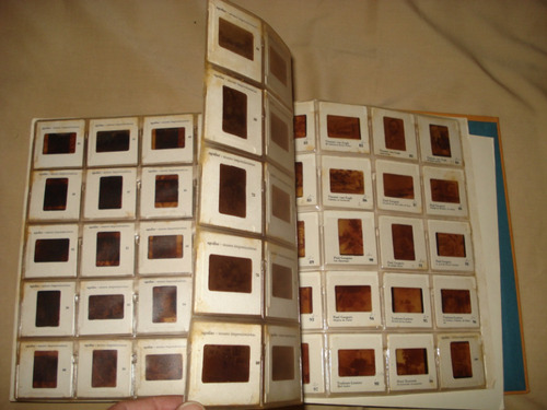 Libros De Arte Colección Realmente Impactante