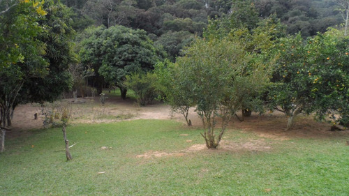 Imagem 7 de 14 de Bela Chácara 4.000m2 - Castelo Branco Km 68