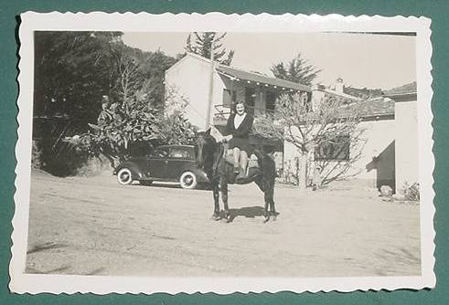 Fotografia Antigua Original Automoviles Clasicos Caballos