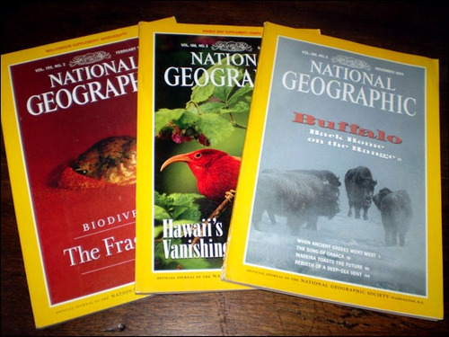National Geographic _ Lote 3 Revistas - Fauna En Peligro
