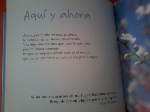 Eres Importante Para Mí - Para Obsequiar Frases E Imagenes