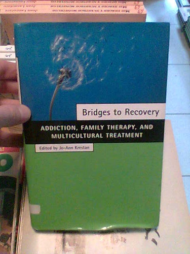 Bridges To Recovery  Addiction Family Therapy And Multicultu