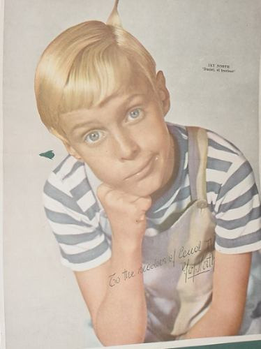 Television Poster Jay North Daniel Travieso Dennis Menace 1