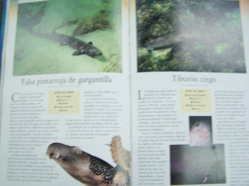 Imagen 4 de 4 de Tiburones Y Rayas * Varios Autores * Planeta *