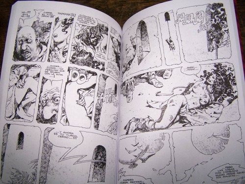 Imagen 5 de 5 de Avrack El Señor De Los Halcones * Enrique Breccia Y Barreiro