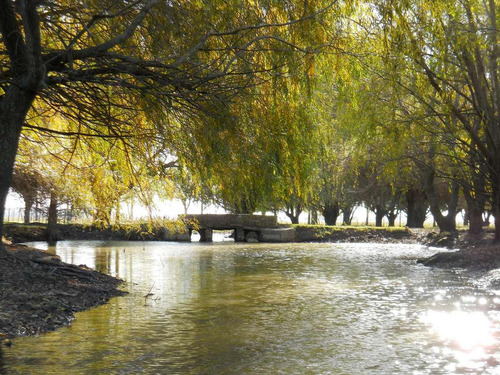 Imagen 1 de 14 de Alquiler Chacra Quinta Zona Norte - Sa De Areco - En Chacras Del Arroyo, Buenos Aires - Por Fin De Semana O Vacaciones Temporada De Verano - Quincena O Mes - A Una Hora De Capital Federal
