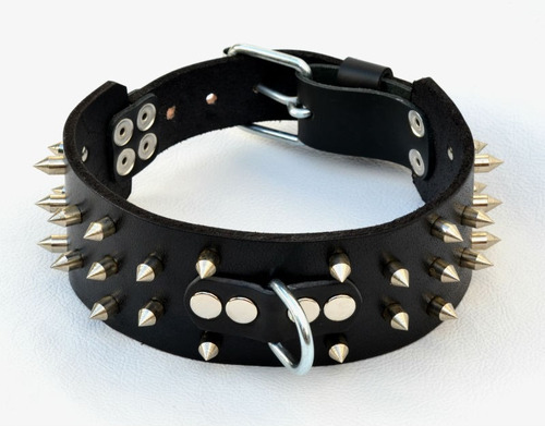 Collar De Cuero Perro 6cm Ancho-pitbull-dogo-rottweiler-bull