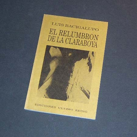 El Relumbrón De La Claraboya . Luis Bacigalupo