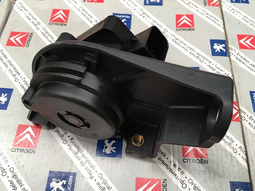 Acelerador Electrónico Original Peugeot 206/307/partner/ Hdi
