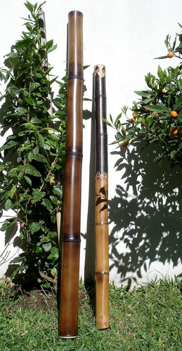 Imagen 5 de 7 de Didgeridoo - Yidaki - Nektar Bambú - Liso - Instrumento