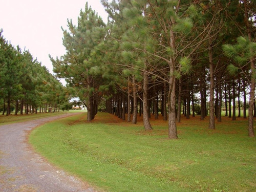 Campos A Minutos De Pilar