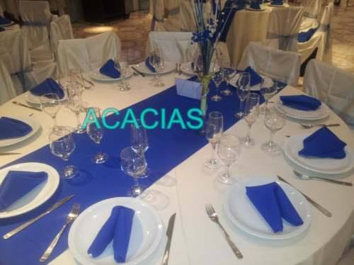 Imagen 7 de 9 de Vajilla Mantel Sillas Mesas Living Gazebo Calefactores Trono