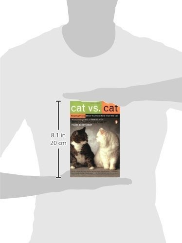 Gato Vs Gato: Mantener La Paz Cuando Se Tiene Más De Un Gato