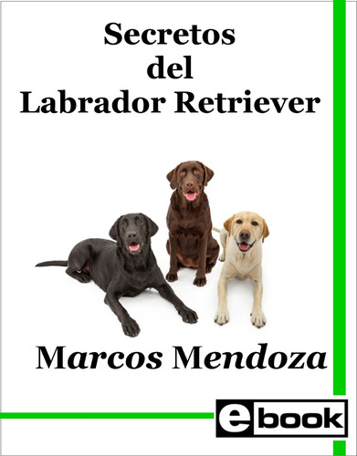 Labrador Retriever Libro Adiestramiento Cachorro Adulto