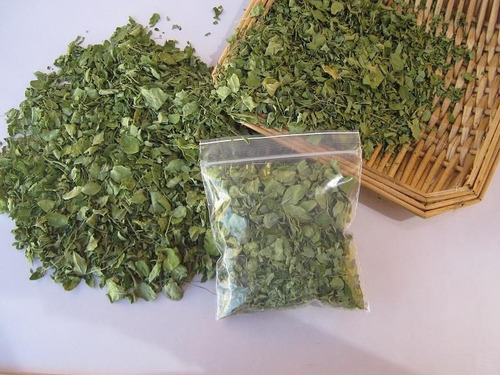 1/2 Kilo De Hoja Pura De Moringa Oleifera Codigo 885-b