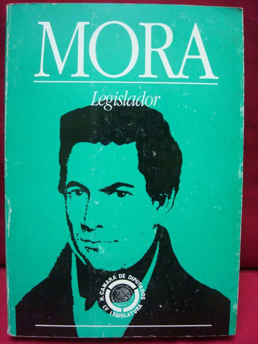 Lillián Briseño Senosiain, Mora. Legislador.