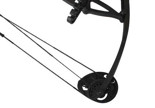 Arco Composto Crosman Wildhron Preto 30 Libras + 2 Flechas