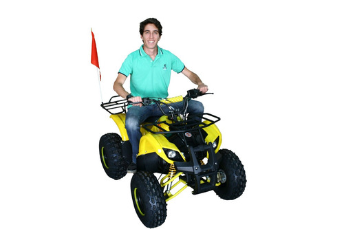 Quadriciclo 125cc Bz Little Bull Com Ré Automático Até 12x