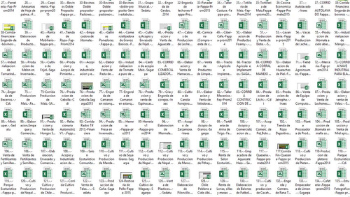 Corrida Financiera Engorda De Cerdos-rentable